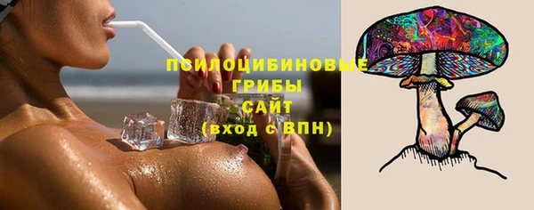 круглые Няндома