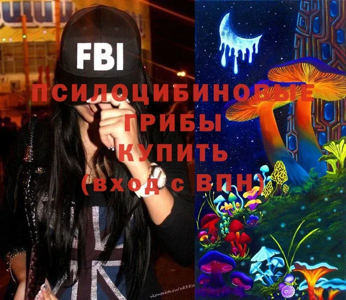 где купить   Выборг  Псилоцибиновые грибы Magic Shrooms 