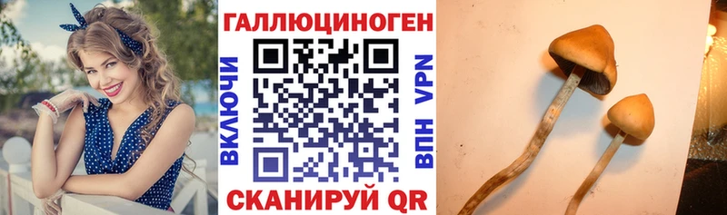 Галлюциногенные грибы мухоморы  MEGA вход  Выборг 