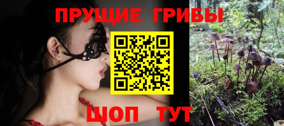 Галлюциногенные грибы ЛСД  Псилоцибиновые грибы Cubensis  Выборг  продажа наркотиков  Вход с VPN 
